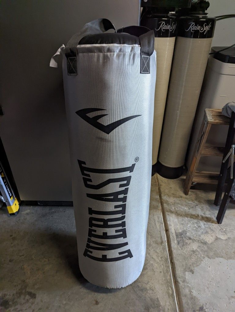 Everlast Punching Bag 