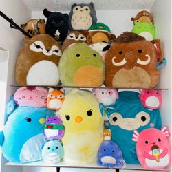 $3,$5,$10 Squishmallow never play with seat in shelf please ask make a offer