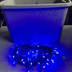 Blue LED lights 100 Per Strand