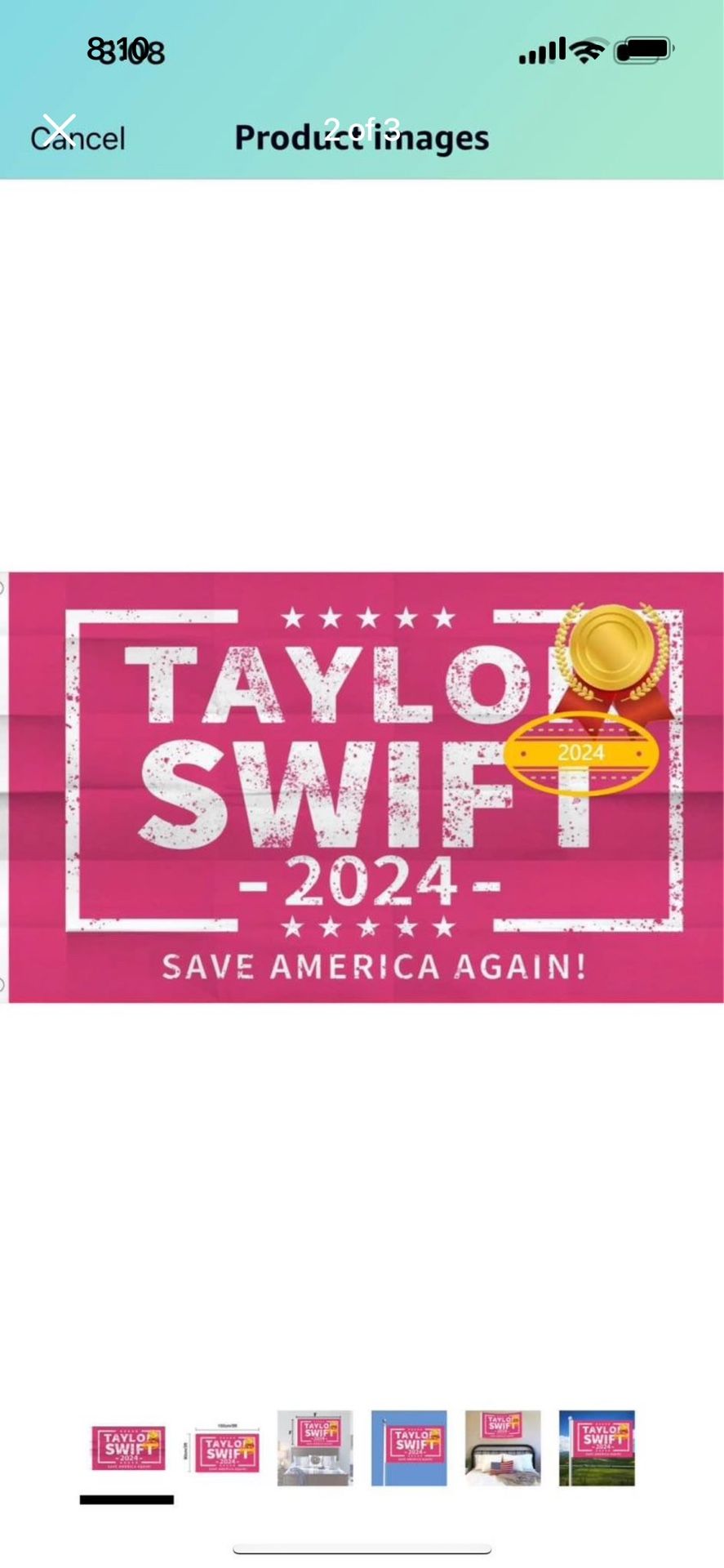 Taylor Swift Flag 