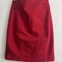 Express Skirt 