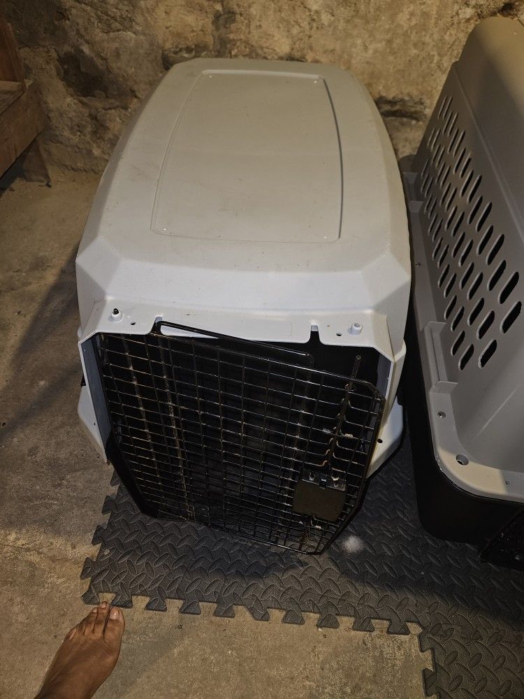 Dog Cage