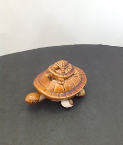 Turtles