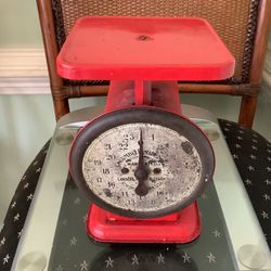 Food Scale
