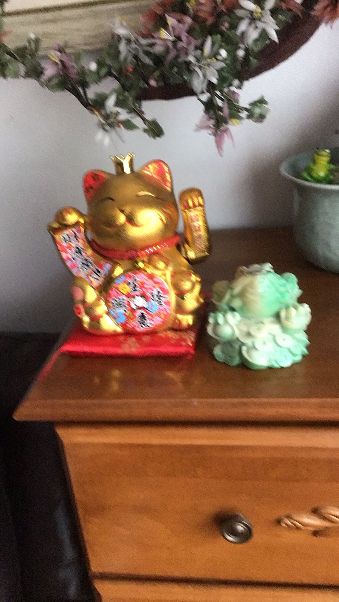 Cat And Frog Lucky