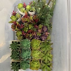 Fake Succulent Plants 