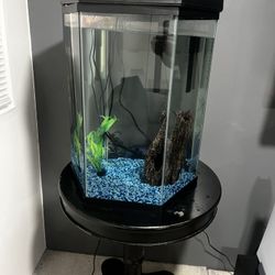 Fish tank 25 Gallons