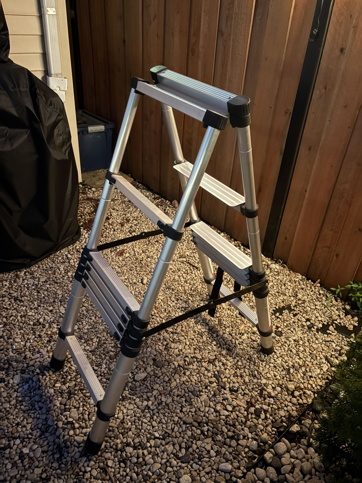 Telescopic Ladder