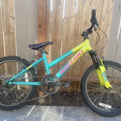 Pueblo 20 Bike 