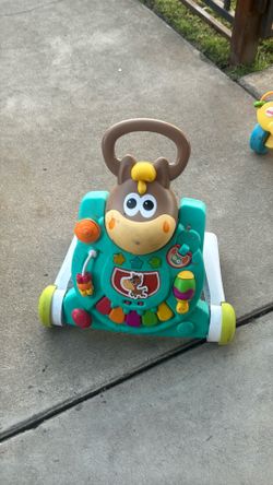 Push walker