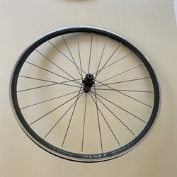 Oval Concept 527 Wheel Tubeless Ready