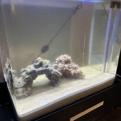 Salt Water Tank 
