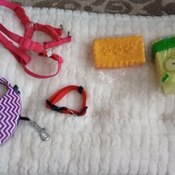 Small dog care taking accessories