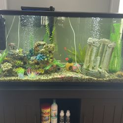 Complete Set 55 Gallon Aquarium Tank, Stand And Supplies 