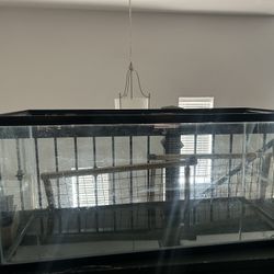 Fish Tank 40 Gallon