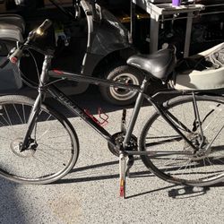 Trek 7.2, Raleigh Beach cruiser, and Rack