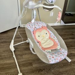 Ingenuity Baby Swing 
