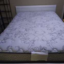 Sealy Full Size Mattress And Box spring 
