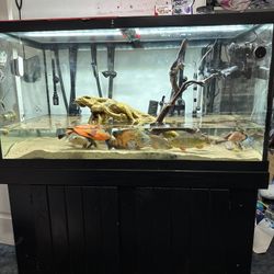 120g Tank With Stand