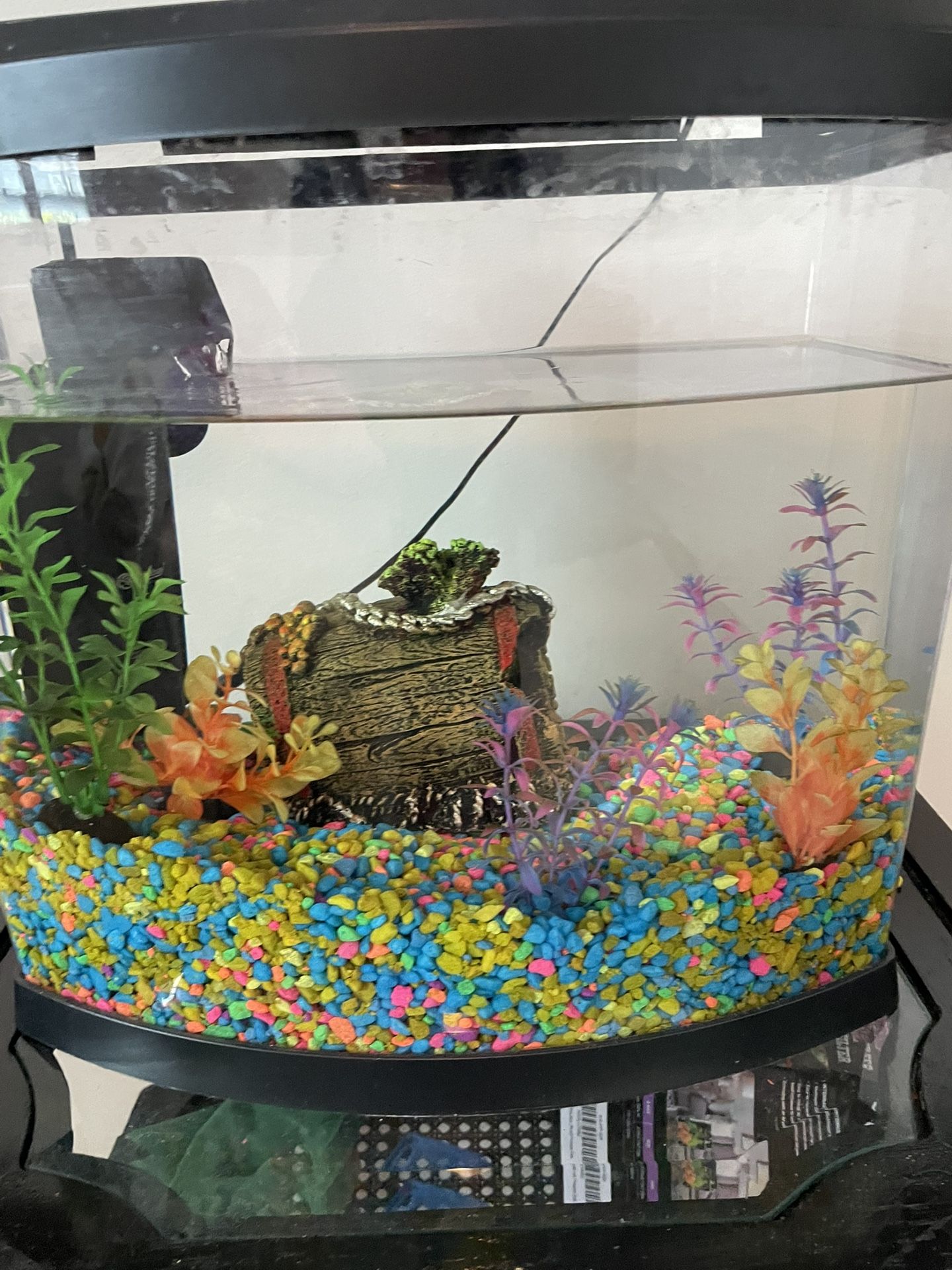 5 Gallon Aquarium