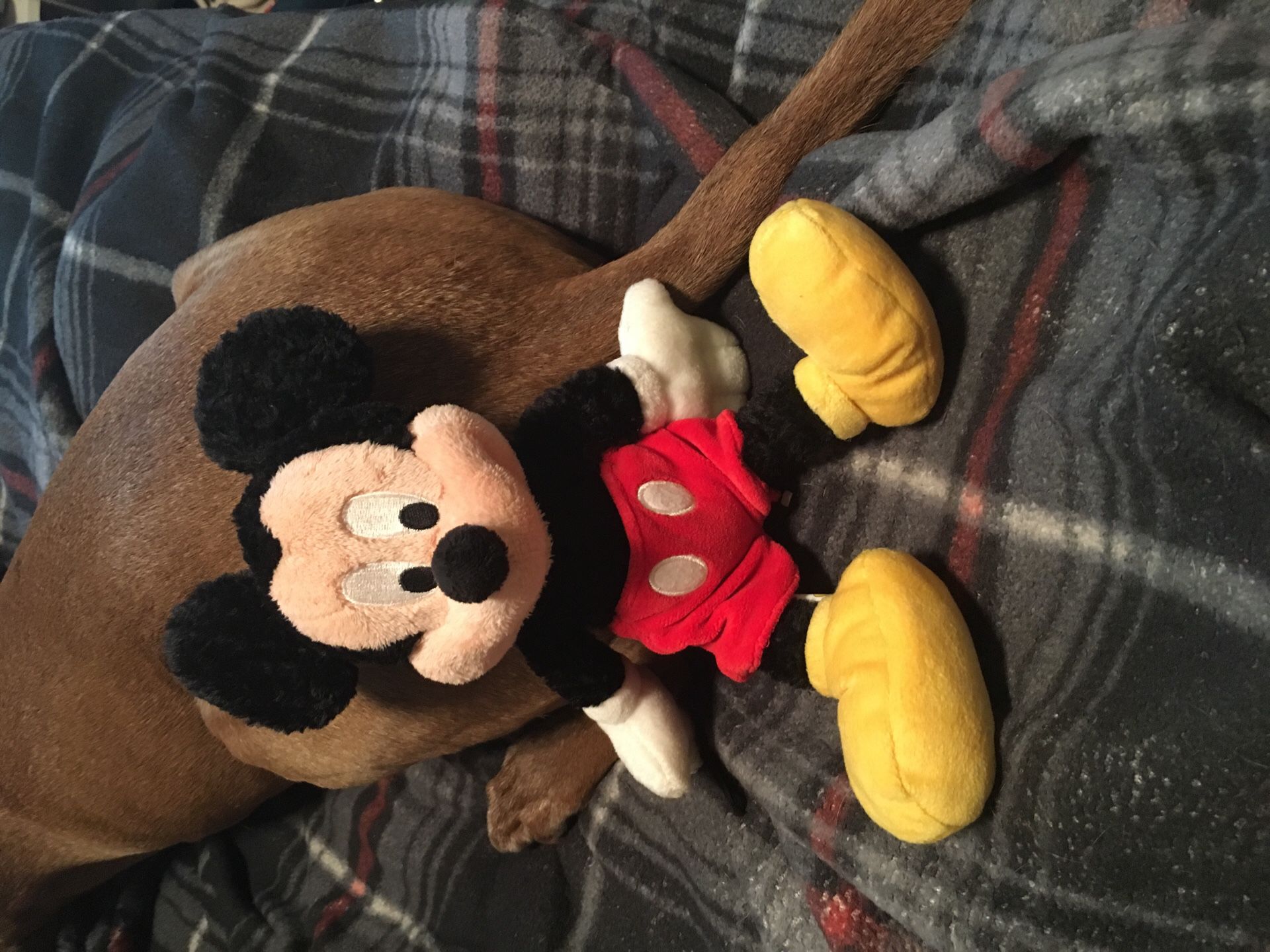 Disney’s Mickey and Minnie dolls