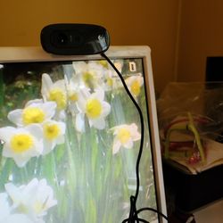 Logitech Web Cam