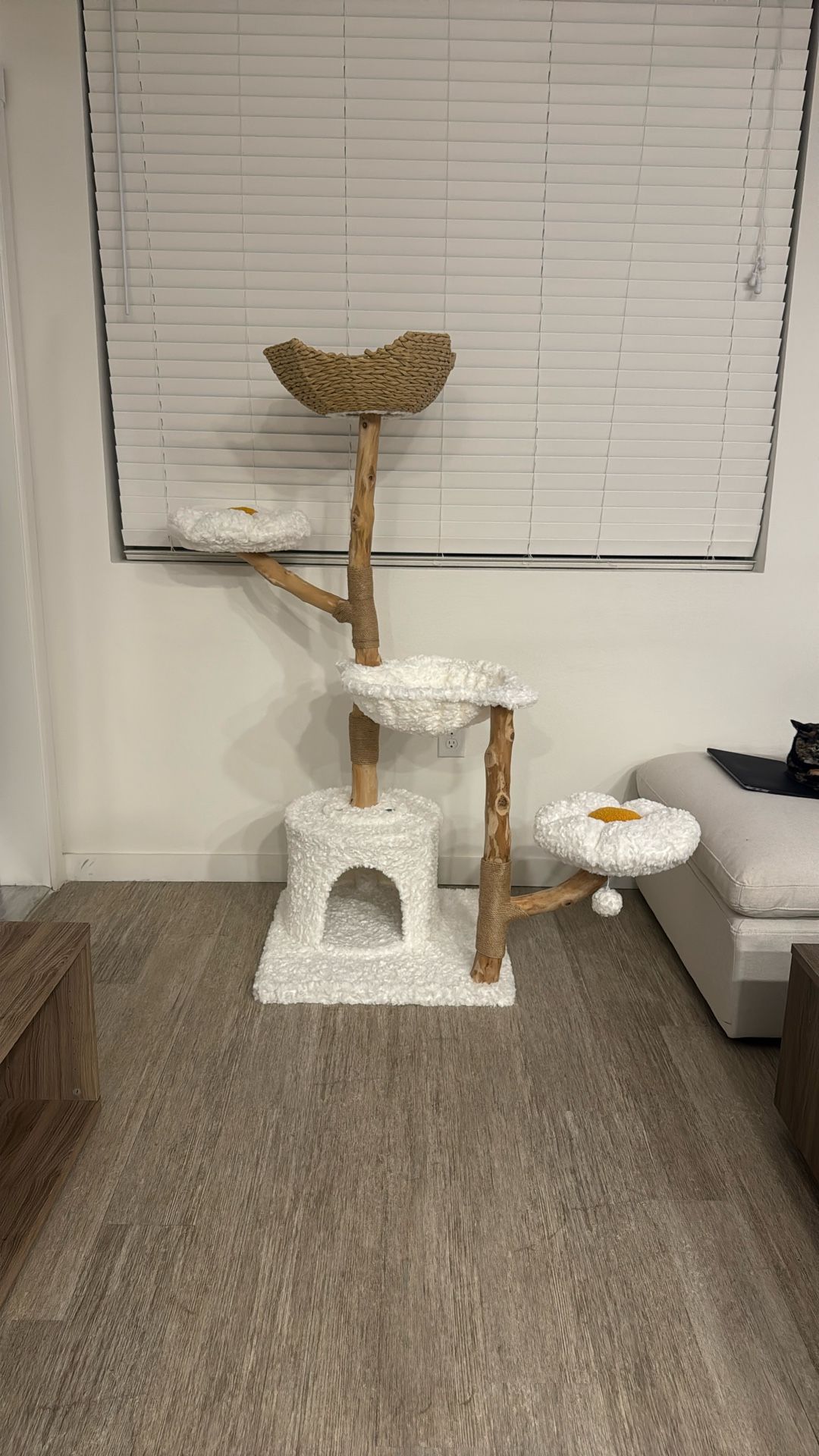 cat tree