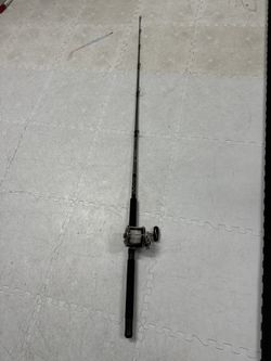 Fishing Rod/reel PENN SENATOR 
