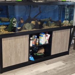 125 Fish Tank 