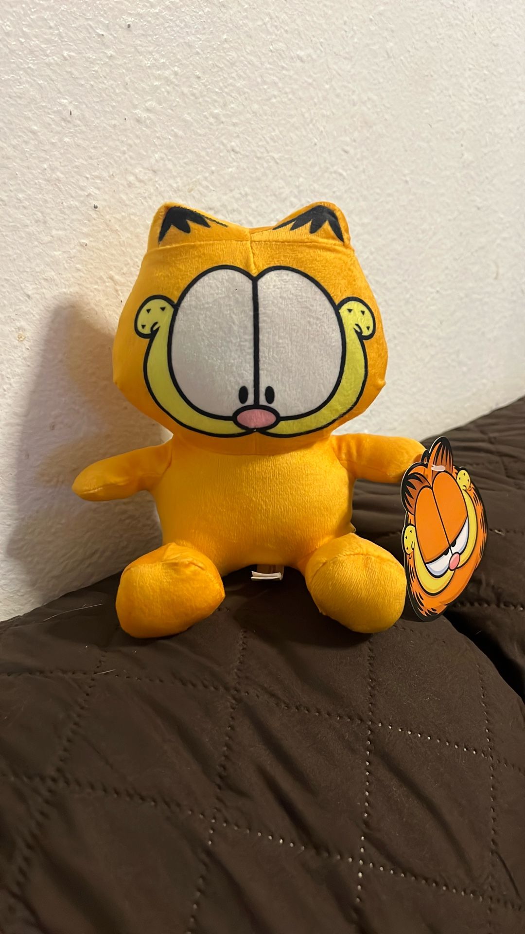 Small Garfield Plushy
