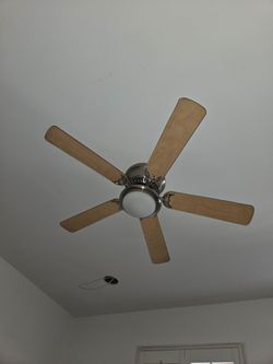 Ceiling fan