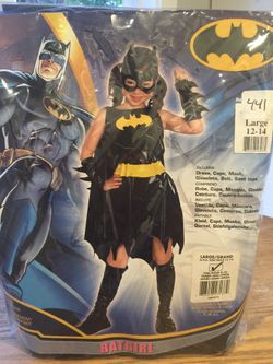 Batgirl costume (girl size 12-14)