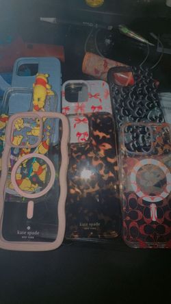 Bundle of iPhone 16 Pro Max Cases