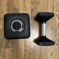Peloton 20 lb Dumbells Set of Two