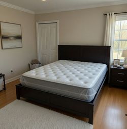 Queen, King, Full, Twin, Twin XL – ✨ Ideal Brand NEW Mattresses – Must See! 🌟Orlando Showrooms / Pay Plans / Orlando  Delivery  / Made USA / Warranty