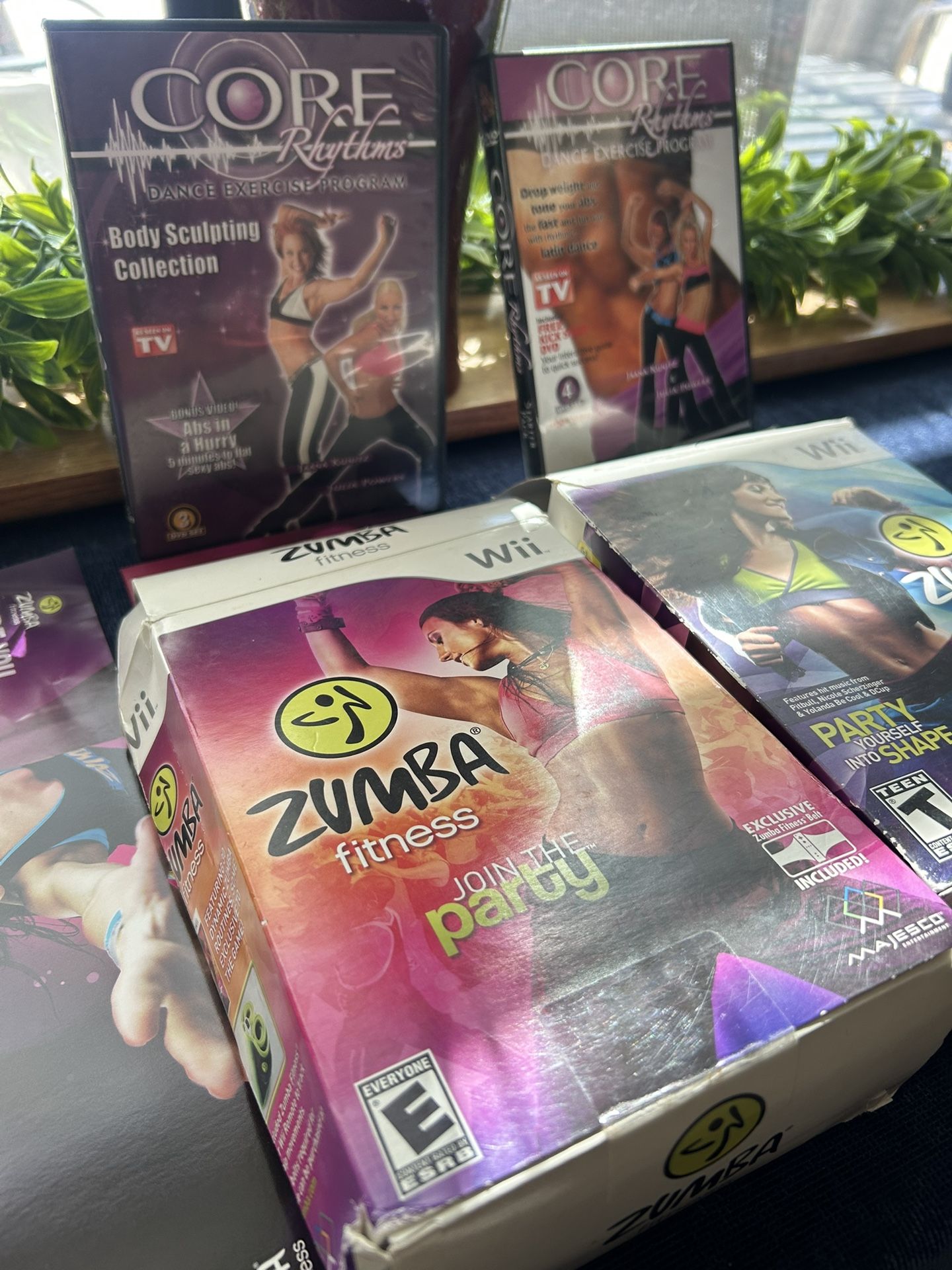 Zumba Exercise Program