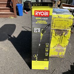 Ryobi 10in Pole Saw