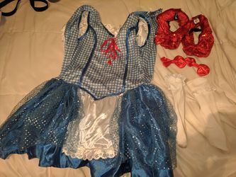 Dorothy Costume Child size 12-14