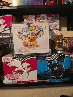 Pokemon Sealed Bundle