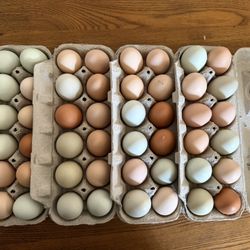 Farm Fresh Eggs