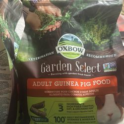 Guinea Pig Supplies 