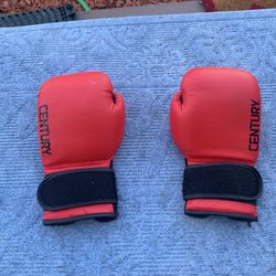 Century Boxing Gloves