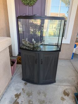 36 gallon tank