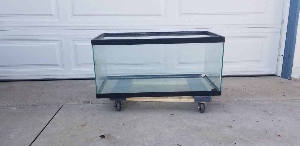 Fish Tank 3ft X 17 In X 18
