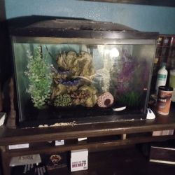 20 Gallon Fish Tank