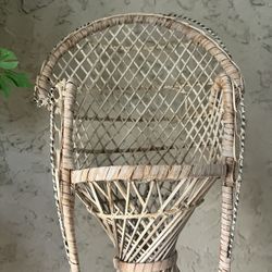 Cute Mini Boho Peacock chair plant stand💕