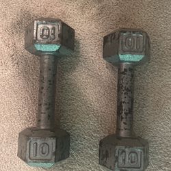 (2) 10 Lb weights