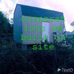 Salgado sheds we bulls on site