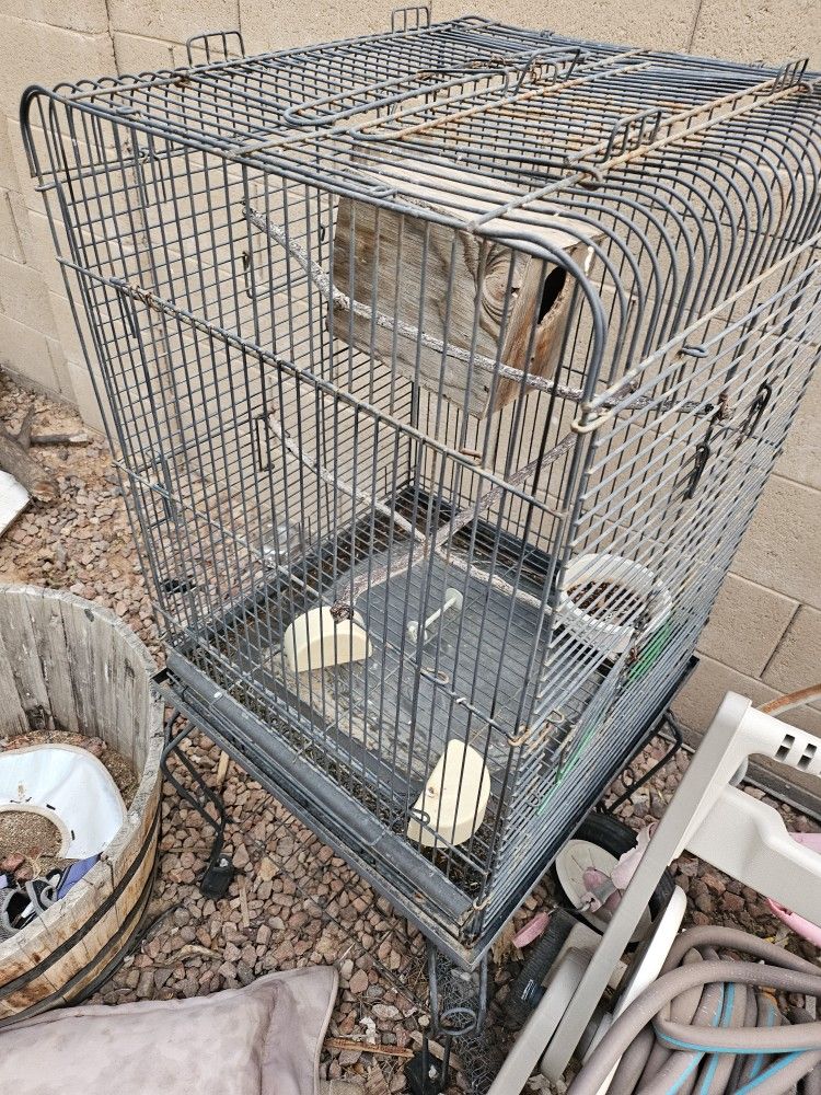 Bird Cage