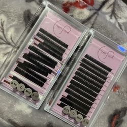 Lash Trays